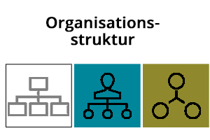 Optimierung Der Organisationsstruktur LAOS GmbH